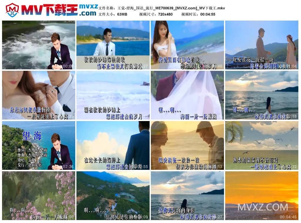 王觉-望海_国语_流行_ME700639